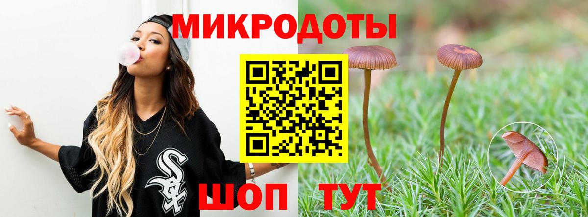 Электросталь  Псилоцибиновые грибы Cubensis  Вход с VPN  Псилоцибиновые грибы мухоморы 